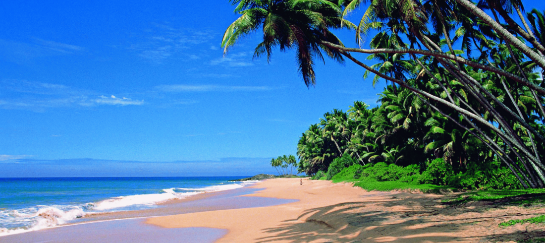 South India Tour Package including Goa-Mumbai