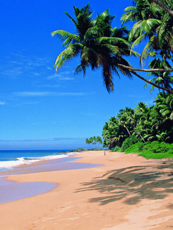 South India Tour Package including Goa-Mumbai