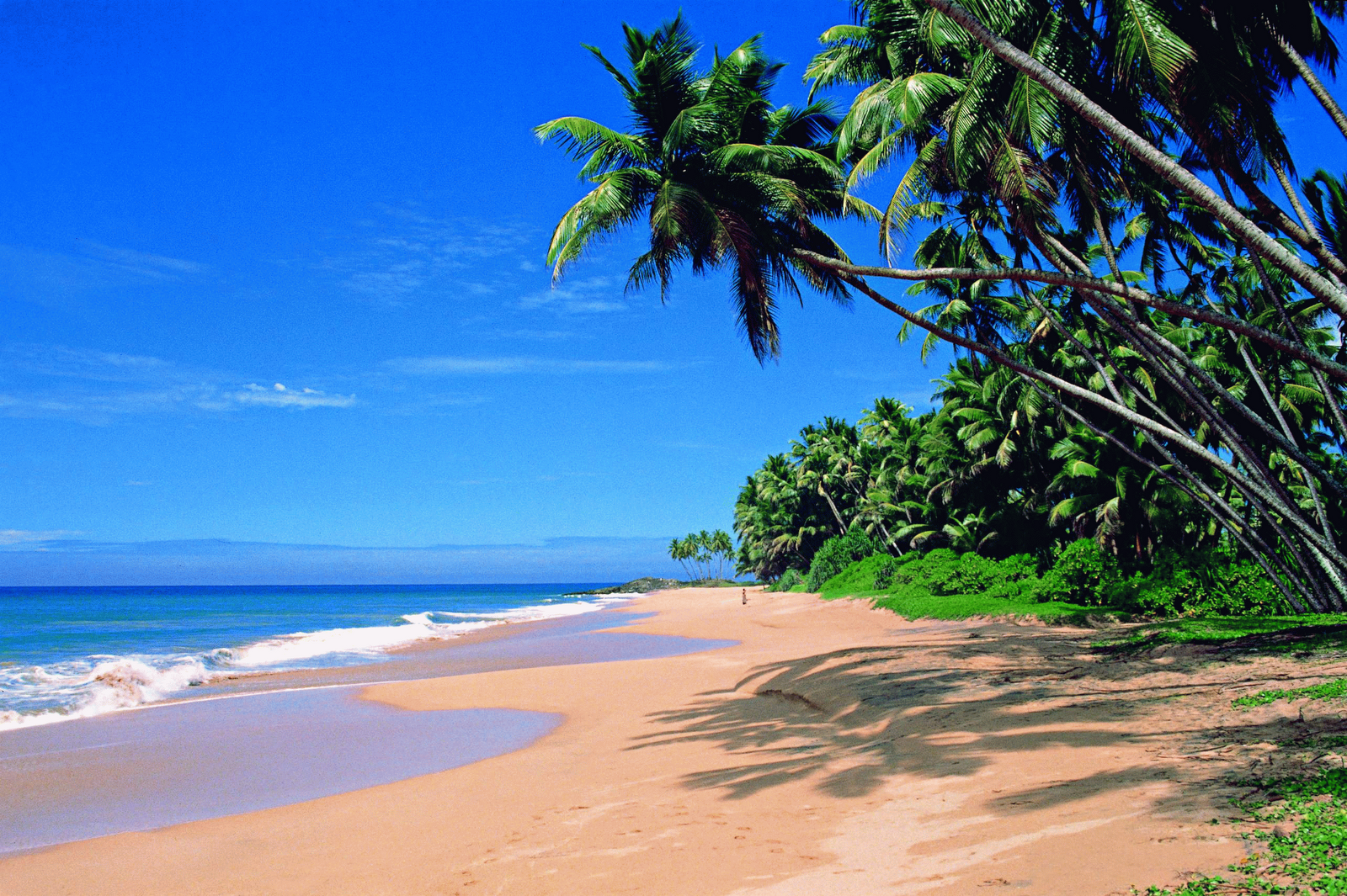 South India Tour Package including Goa-Mumbai