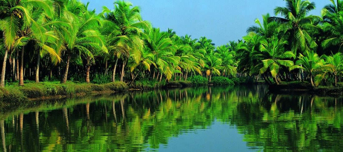 Kerala Backwater Tour Package