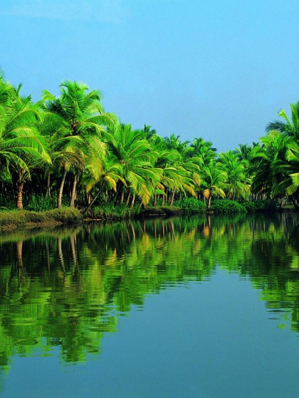 Kerala Backwater Tour Package