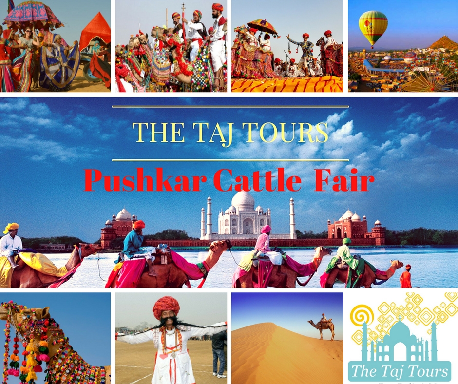 Rajasthan Pushkar Cattle Fair