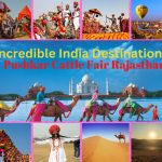 Rajasthan Pushkar Cattle Fair 2023